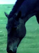 ���R�^�١����m�ЋI�ݳ� �R���������~ ������  